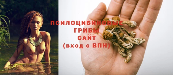 винт Арсеньев