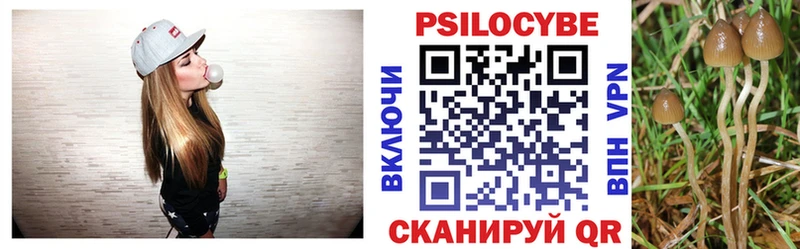 где можно купить Пушкино ссылка на мегу ТОР Псилоцибиновые грибы Psilocybine cubensis
